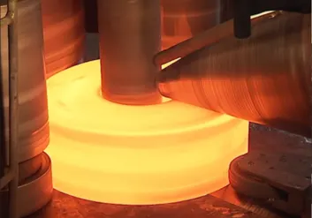 Flangs Manufacturers