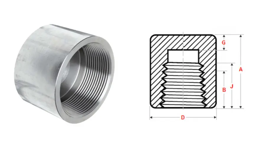 Threaded Pipe Fitting CAPS Manufacturers in india
